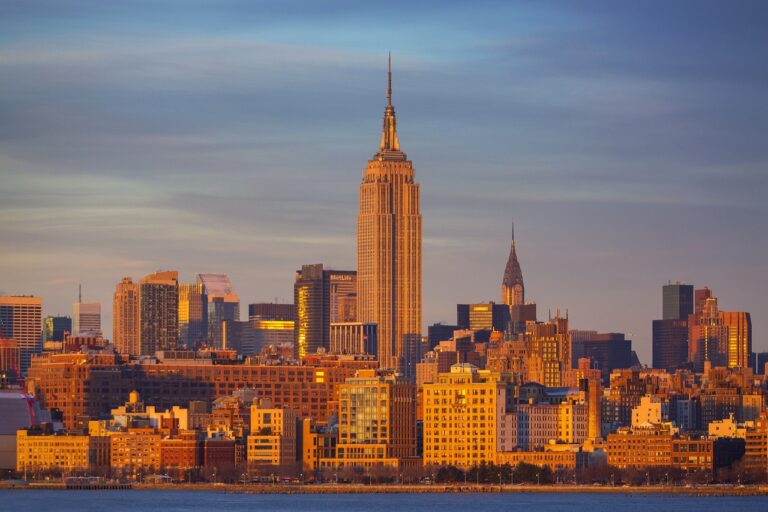 logo directories flpstampive