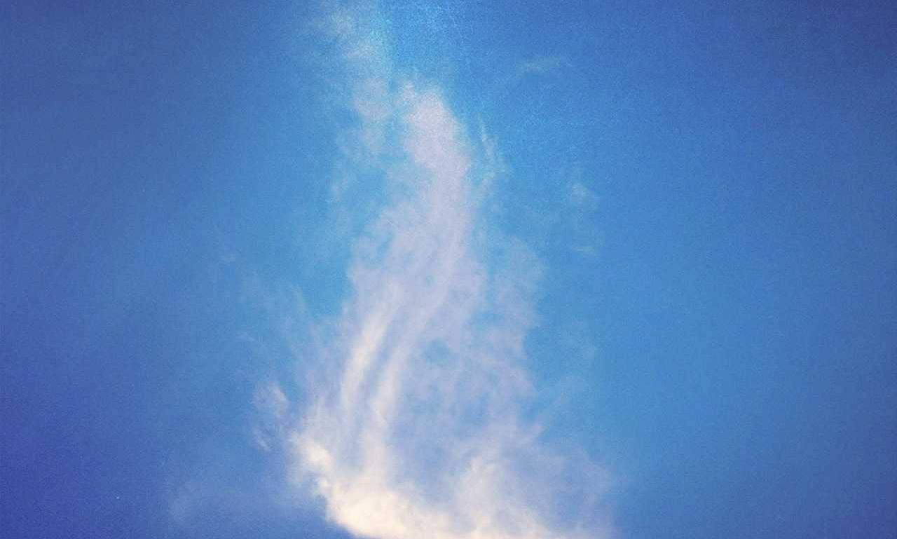 what are good free logo flpmarkable