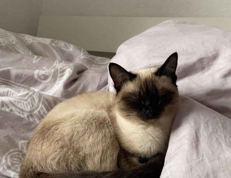 why should logos be simple flpmarkable