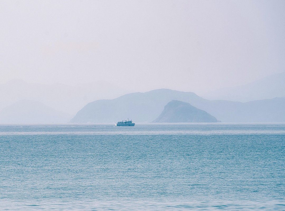 Why Should Logos Be Simple Flpmarkable