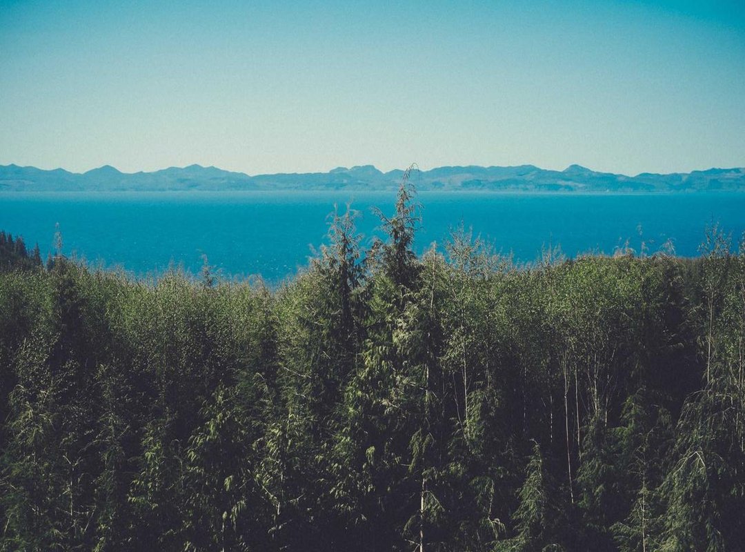 Art Imitating Life: How Their Relationship Shaped the Music