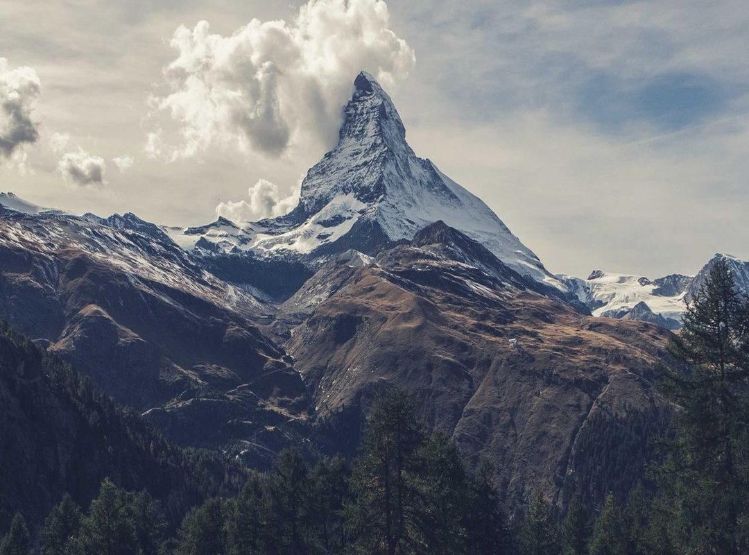 Beyond Height: A Quick Profile of the Dutch Star