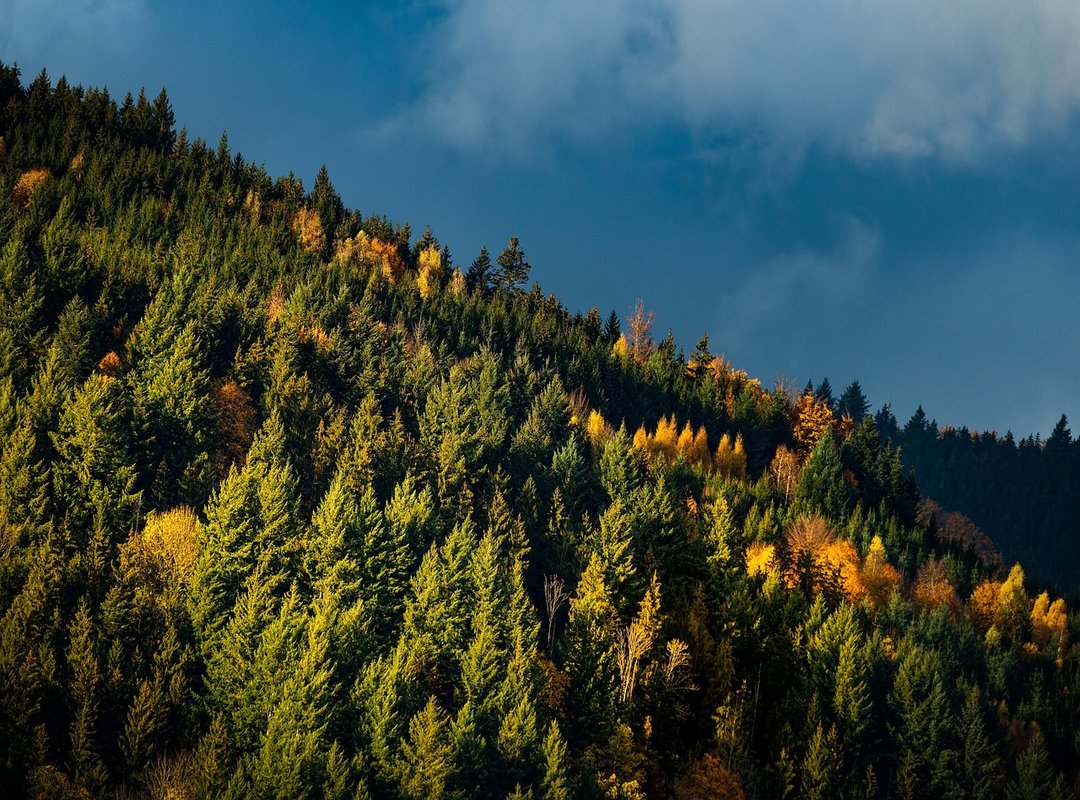 malaysia xxviii 2022