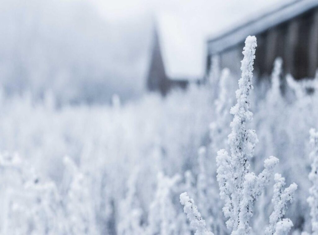 primevideo/pvsettings