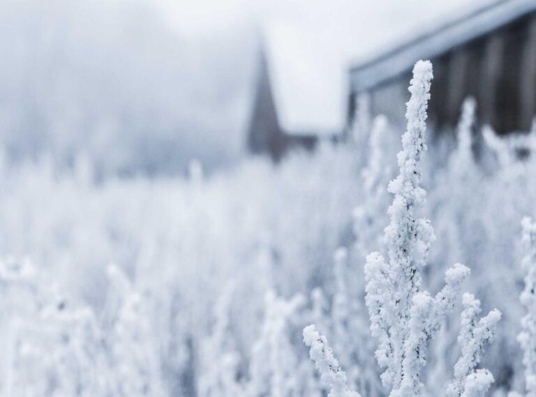 primevideo/pvsettings