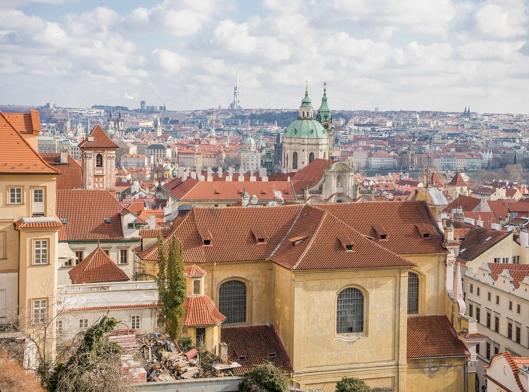 strula online cz