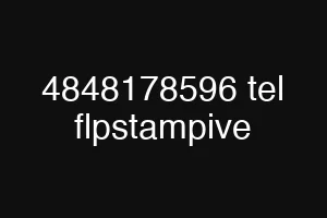 4848178596 tel flpstampive